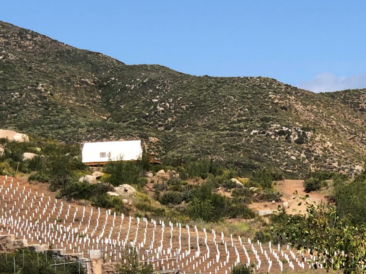 Casa Misiones Glamping Otel Valle de Guadalupe Dış mekan fotoğraf